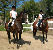 race horse