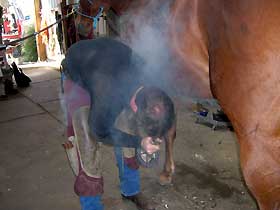 hot shoeing